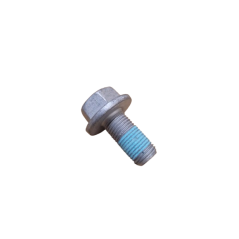 Genuine Renault Rear Caliper Carrier Bolt - Twingo 2 RS & R1