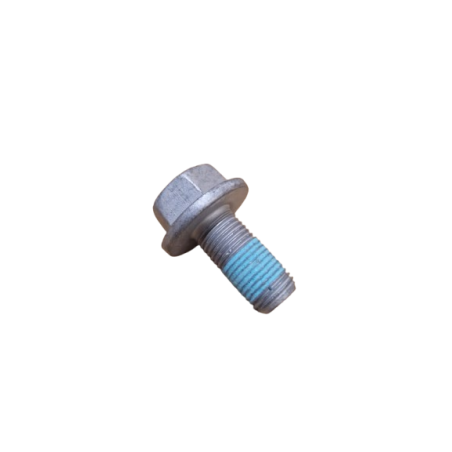 Genuine Renault Rear Caliper Carrier Bolt - Twingo 2 RS & R1