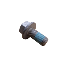 Genuine Renault Rear Caliper Carrier Bolt - Twingo 2 RS & R1
