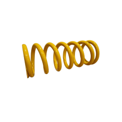 FRONT Renault Sport Suspension Spring - Clio R3 MAX