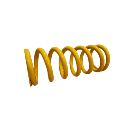 Ressort de Suspension AVANT Renault Sport - Clio R3 MAX