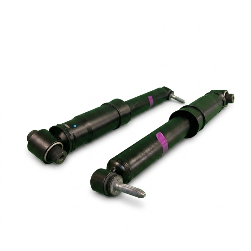 Genuine Rear Shock Absorbers - Megane 2 RS R25 / R26 / Trophy