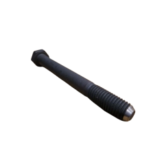 Renault Sport Rear Subframe Fixing Screw for Clio R3