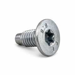Brake Disc Retaining Screw | Renault