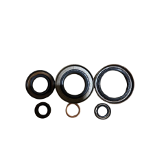 Pack Joints Révision Boîte TL4 Renault Clio 3 RS - Origine