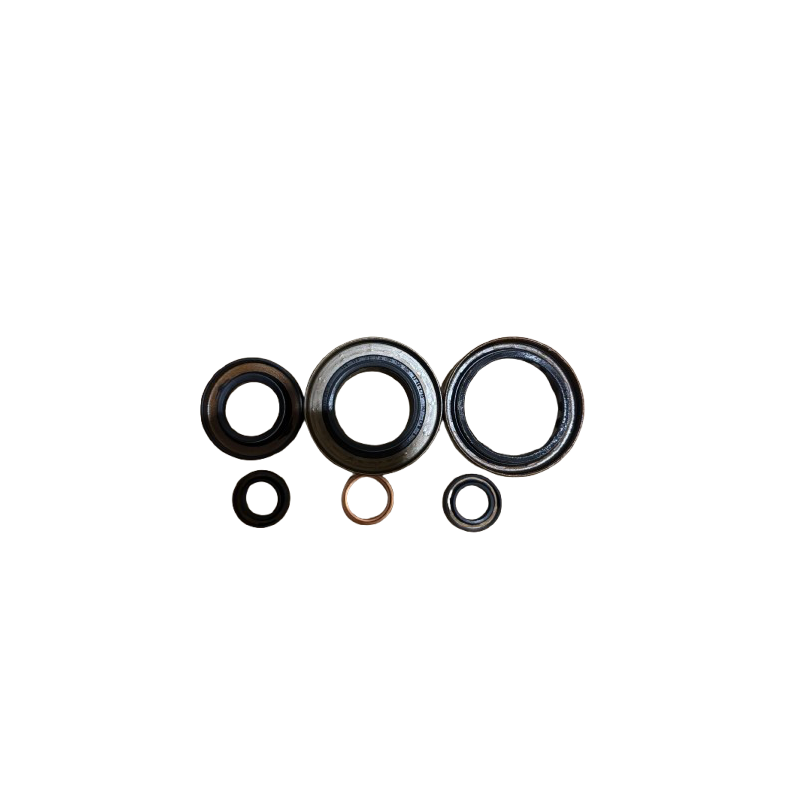 Pack Joints Révision Boîte TL4 Renault Clio 3 RS - Origine Pack Joints Révision Boîte TL4 Renault Clio 3 RS - Origine