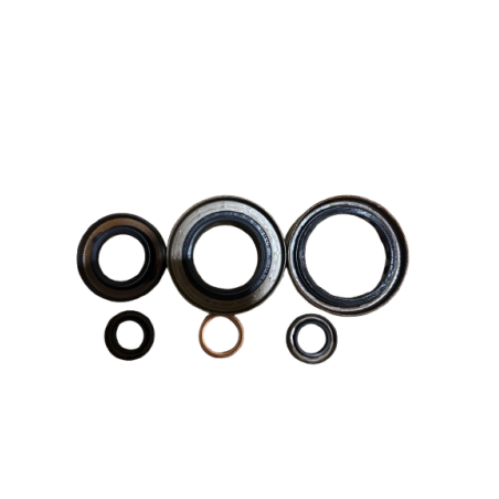 Pack Joints Révision Boîte TL4 Renault Clio 3 RS - Origine