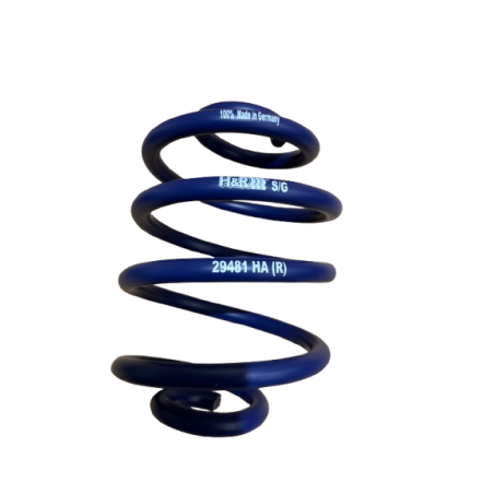 H&R Lowering Spring Set - Renault Clio 2 RS (30mm Drop)
