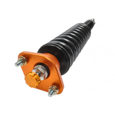 Combines Filetés AST 5100 BMW E30