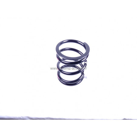 Ressort AV - Asphalte - Noir 6 Bandes Rouges - R6.5 Kg clio Gr N