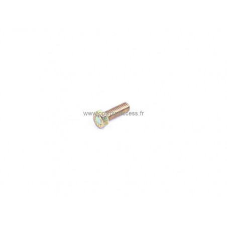 Vis HM 7x100 LG20 CL10.9 Clio Gr N