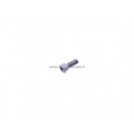 Vis CHC M7-20 cl : 12.9 Megane N4
