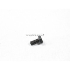 Vis HM10x20 CL10/9 (Tête de 17) Twingo R2