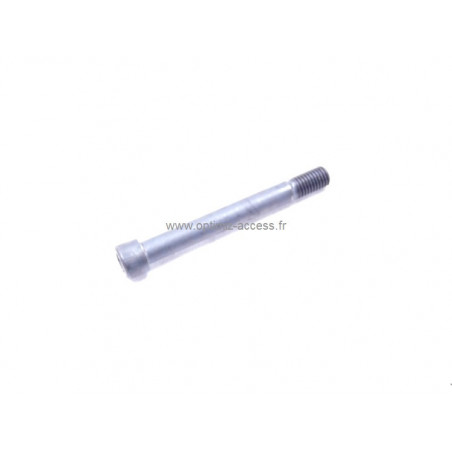 Vis CHC M12-120 recoupée à 105 Megane N4