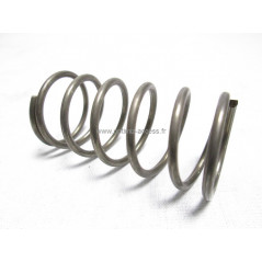 Ressort NTN cardan Clio Gr N et X65 Cup