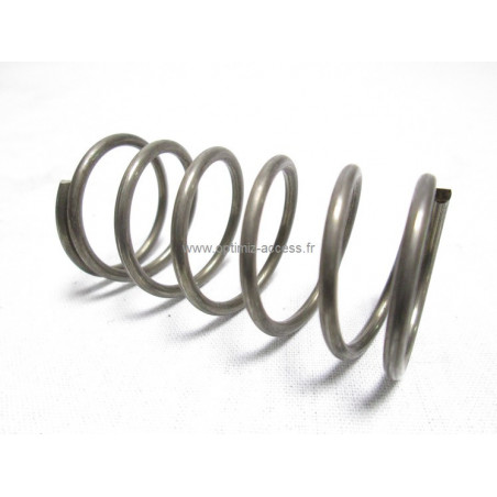 Ressort NTN cardan Clio Gr N et X65 Cup