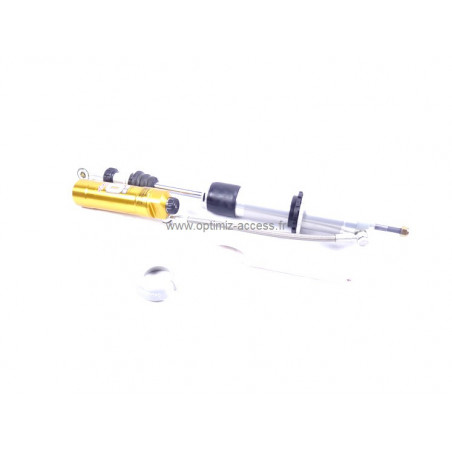 Amortisseur Ar Asphalte EVO Twingo R2