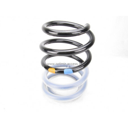 Ressort avant Chassis Cup Clio 3 RS jusque 2010