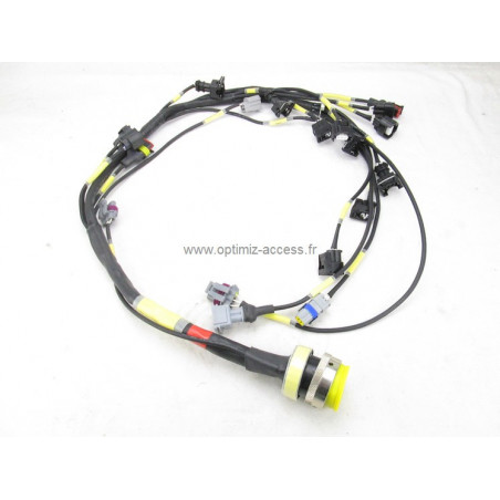 Câblage Moteur Twingo R2